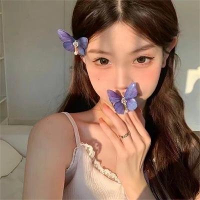 大象与小蝶物语